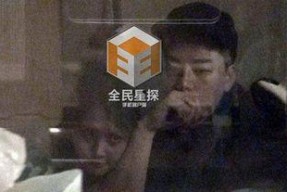 扑向玫瑰,探寻爱情与命运的交织